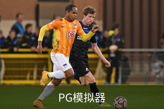 PG模拟器公司简介展示图